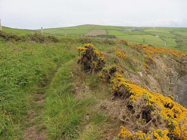 The Pembrokeshire Coast Path near Traeth y Rhedyn