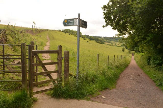 Path Junction in the Mayfield Valley, Sheffield