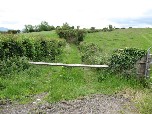Field access lane on the Dromara Road