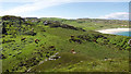 NR4299 : Cows grazing above Balnahard by Julian Paren