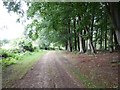 Farm Track near Temple Hill