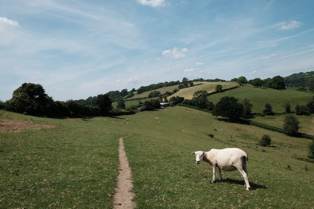 Cotswold Way to Pendean Farm