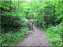 NO2407 : Footbridge on path to Maspie Den, Lomond Hills by Bill Kasman