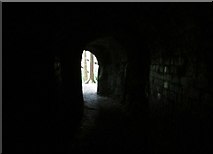 NO2407 : Inside the scary tunnel! by Bill Kasman