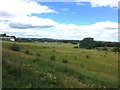 Herringthorpe Playing Fields