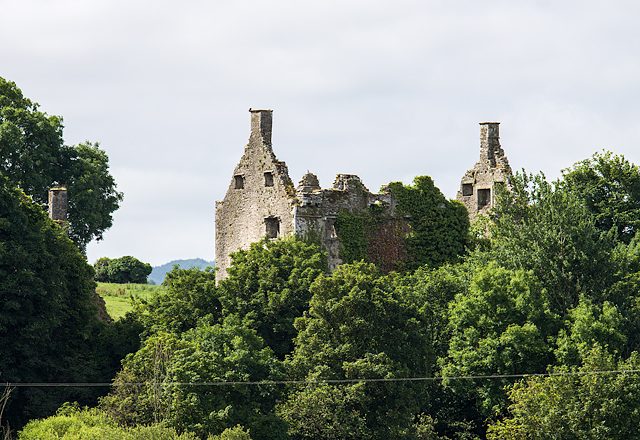 Castles of Munster: Dromaneen, Cork (2)