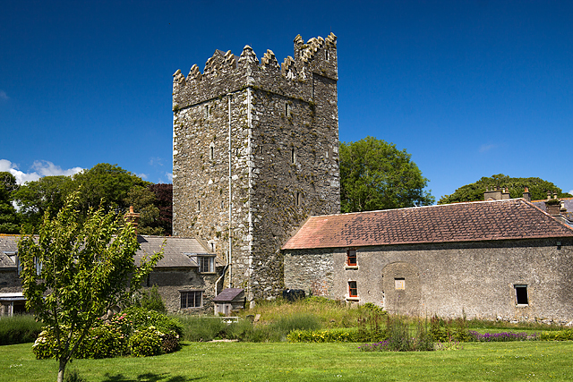 Castles of Leinster: Butlerstown, Wexford (2)