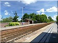 Saltmarshe railway station