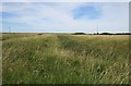 TM1113 : Field Drain, St Osyth Marsh by Paul Franks