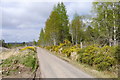 The Great Glen Way approaching Woodend