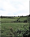 11kW powerlines west of the Dromara Road