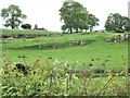 Rock outcrops on the west side of Dromara Road