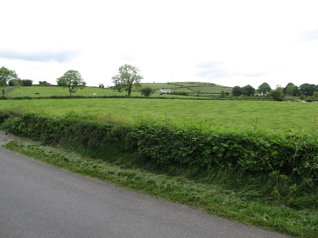 View NNE across grazing land between Dromara Road and Benraw Road