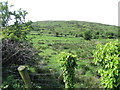 The low col  separating Slievegarran and Carrivmoragh