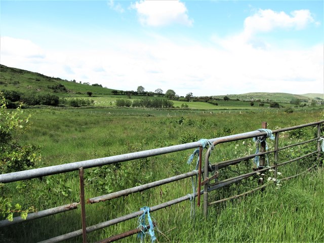 Improved grassland on the north-eastern slopes of Carrivmorragh
