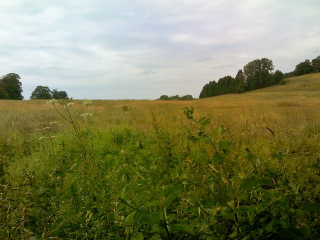 Himley Field