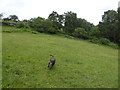 Field below Balnabodach