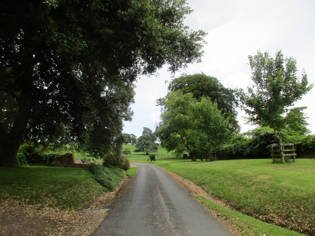 Driveway to Cappoquin House Gardens