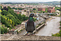 ST5673 : Pigeon on Clifton Suspension Bridge by Ian Capper