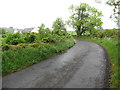 Cottages near the northern end of Oldbridge Road