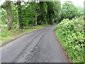 Oldbridge Road on the north side of the bridge over the Leitrim River