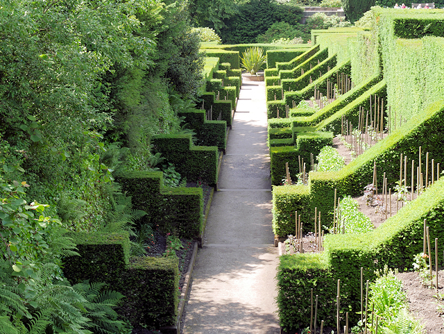 The Long Dahlia Walk, Biddulph Grange © David Dixon :: Geograph 