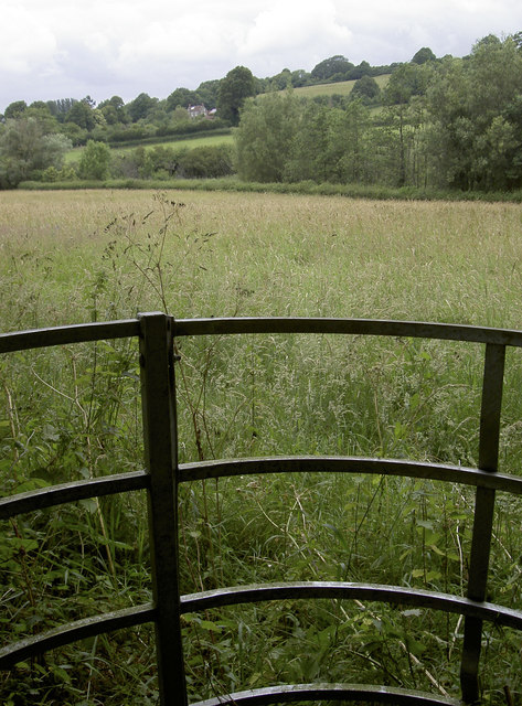 Gate to a meadow