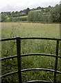 Gate to a meadow