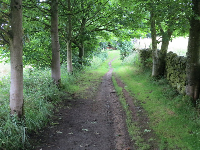Bridleway from West Manywells to Coldspring Mill