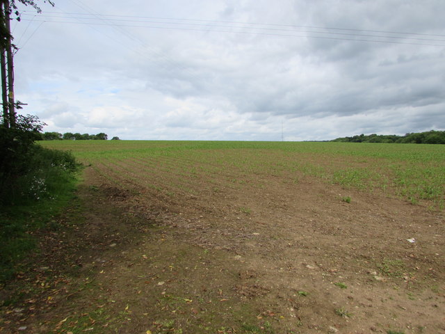 Field near Thames Head, Gloucestershire © Jaggery :: Geograph Britain ...