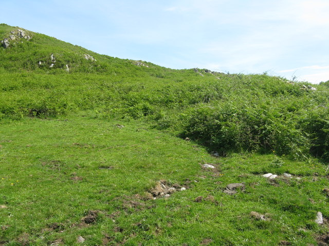 Cnoc nan Gobhar hillside