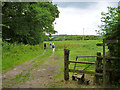 Walking towards the Red Road