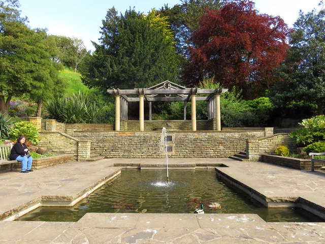The Lily Pond in Pannett Park