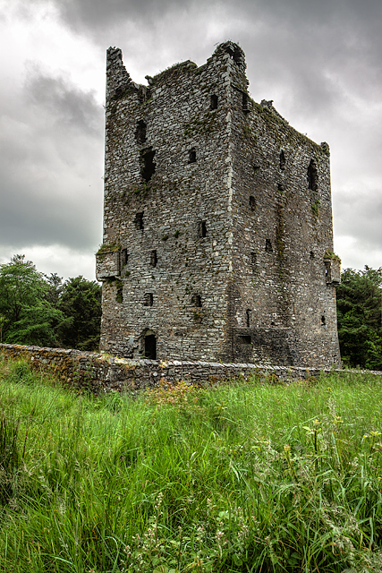 Castles of Munster: Ballinacarriga, Cork - revisited (1)