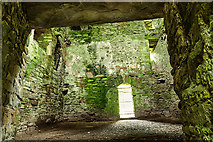 W2850 : Castles of Munster: Ballinacarriga, Cork - revisited (2) by Mike Searle