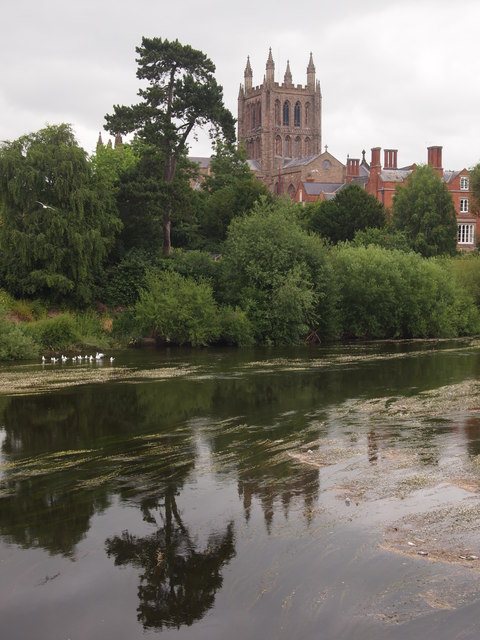 The Wye at Hereford