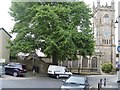 Church, memorial and tree