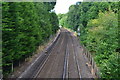 Railway towards Oxshott Station