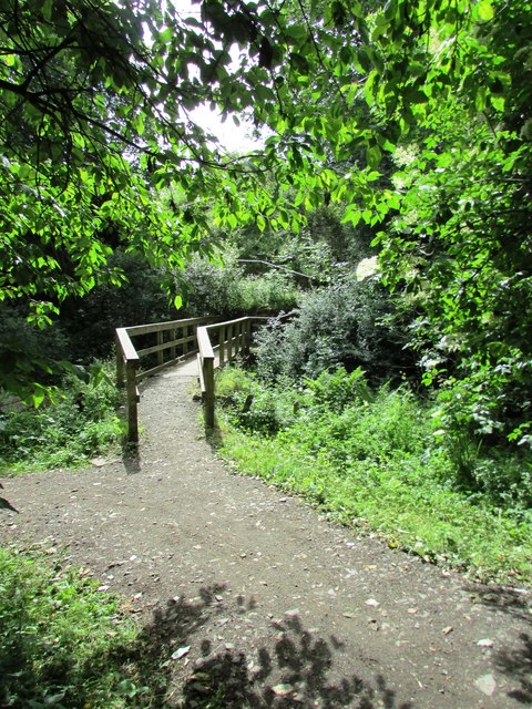 Footbridge on path to Purin Hill, East Lomond