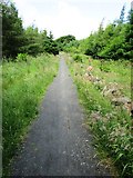 NO2505 : Path to Purin Hill, Lomond Hills by Bill Kasman