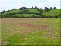 SO6380 : Farmland below Hillhead by Philip Halling