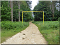 Loading gauge on forestry track