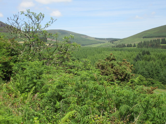 View towards Knockmeal