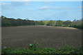 Field near Copthall Covert