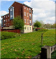 Standish Street flats, Bridgwater