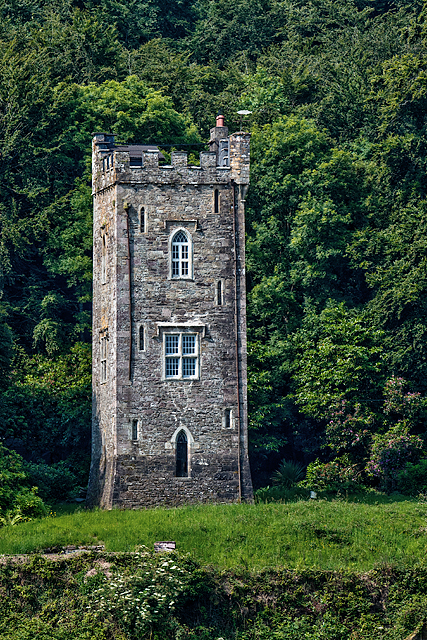 Tower folly at Strancally Demesne - from Dromore Quay (2)