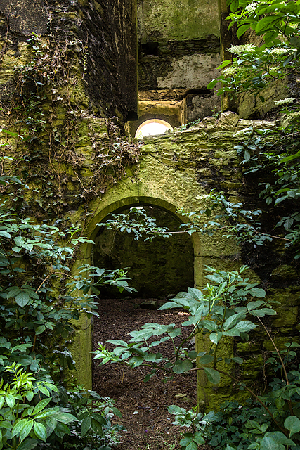 Castles of Munster: Ightermurragh, Cork - third visit (7)