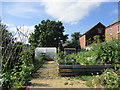 Community Allotment, Bridport