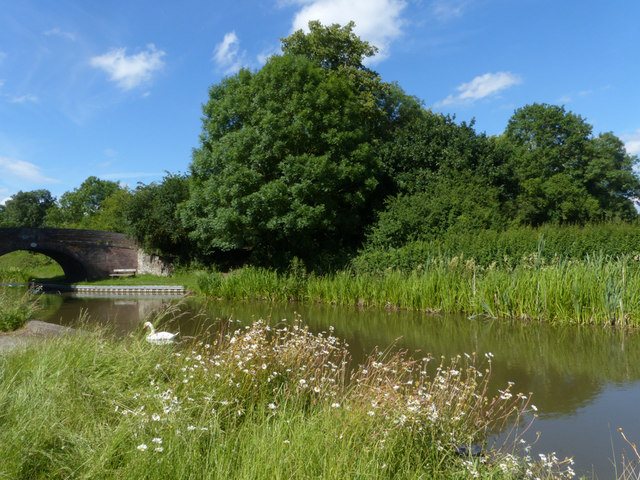 Ashby Canal at Gopsall Wharf