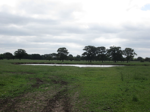 Small lake near Holly House Farm